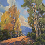 Horse Trail Camarillo